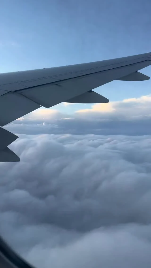 I flew to Singapore to do a 3 day watercolour nail art course! 💕✈️🇸🇬